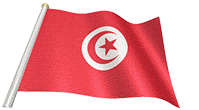 Flag of Tunisia